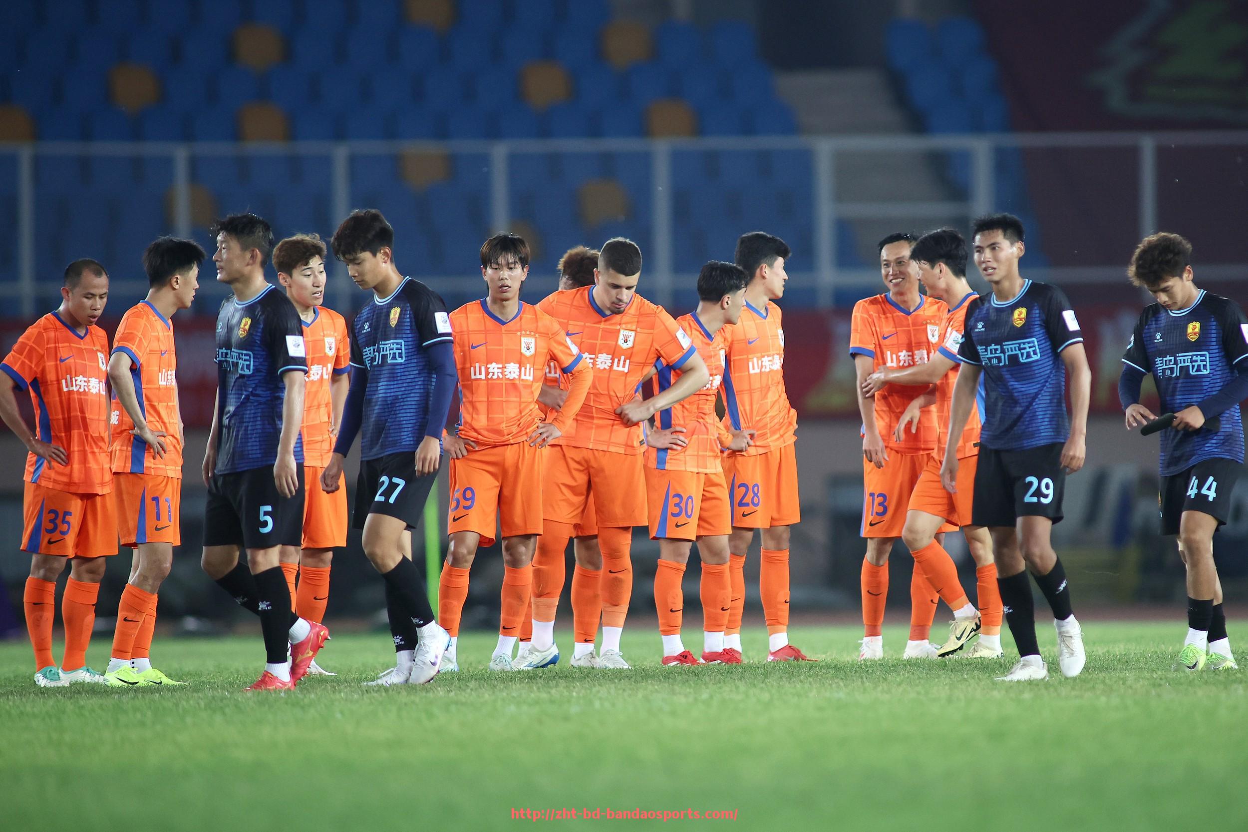 半岛体育-德甲普通球队球员收入水平及薪资结构